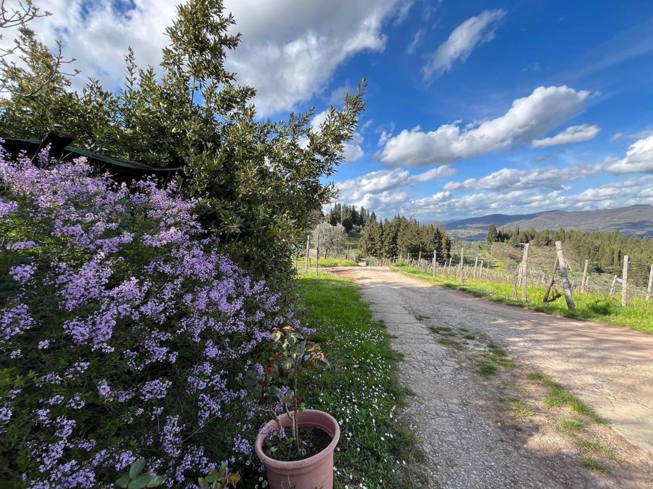 Il Cascino Guest House Greve in Chianti Exterior photo