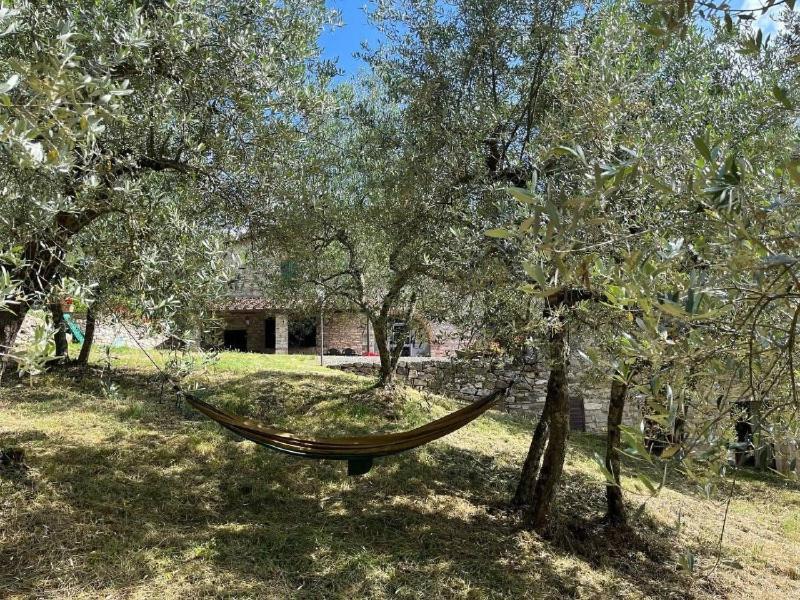 Il Cascino Guest House Greve in Chianti Exterior photo